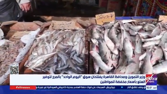 وزير التموين ومحافظ القاهرة يفتتحان سوق اليوم الواحد بالمرج لتوفير السلع بأسعار مخفضة للمواطنين #دانا_مدحت 