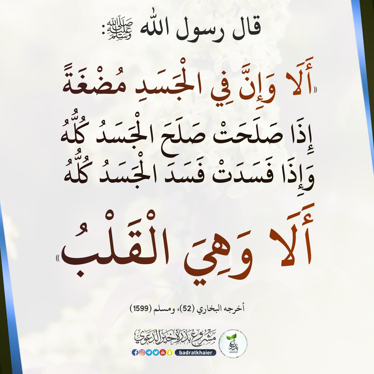 بذرة خير (@badratkhaier) on Twitter photo 