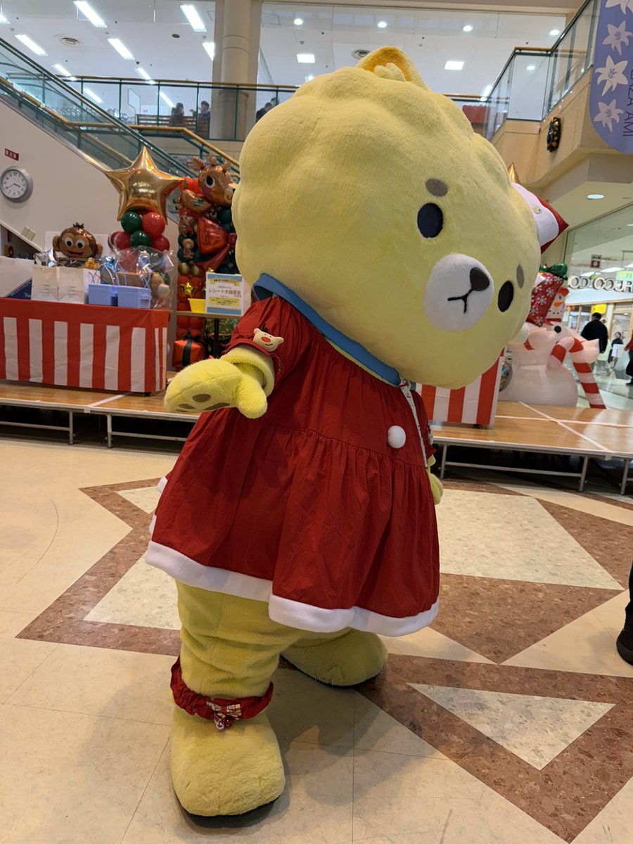 hir0330's tweet photo. 朝から元気にお迎えしてくれたはとっぴーもサンタ丸になってどやどやのほや丸も可愛くてずっとにこにこしてた☺️今年も会えてうれしかった☺️ https://t.co/lIfcq9DrQr