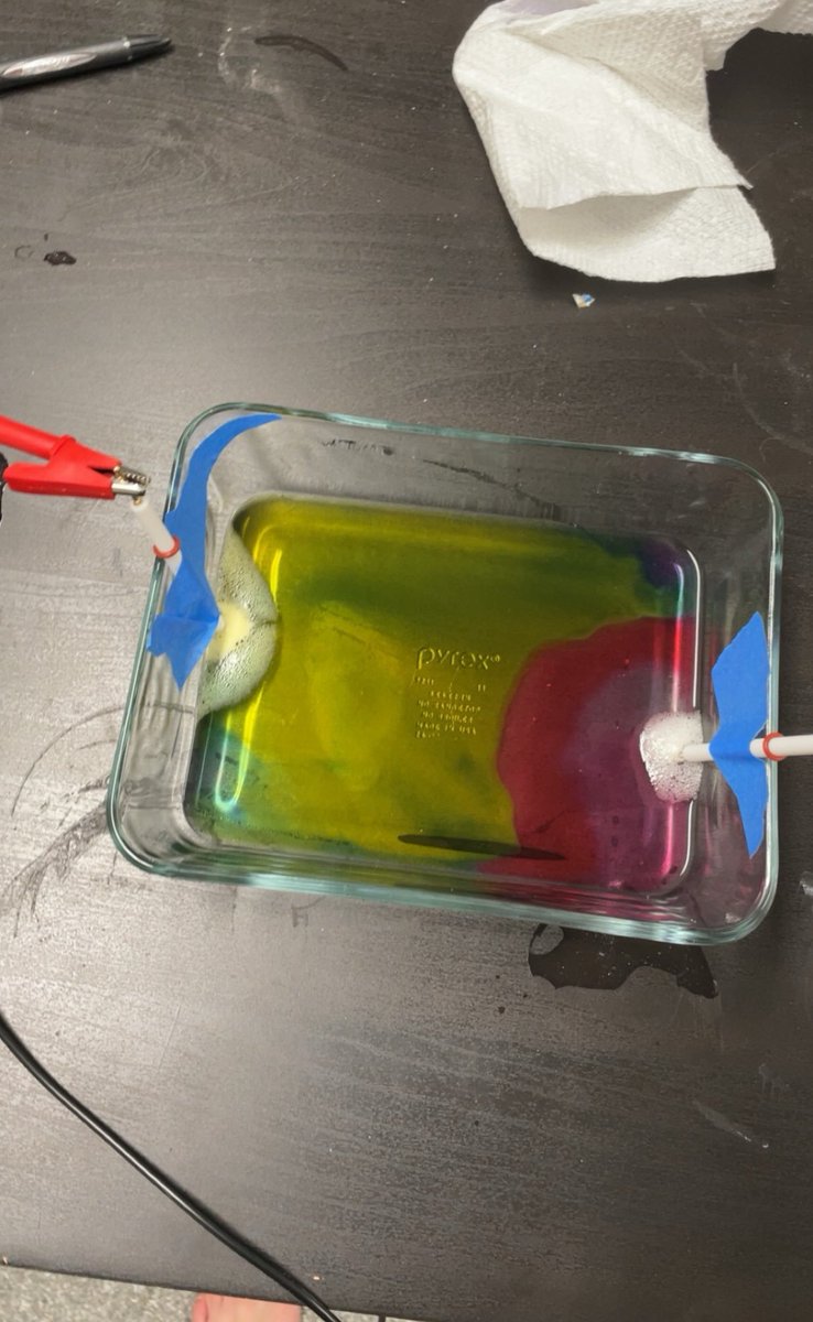 rupearth's tweet photo. @NgoloTesla @patricklandfair is the original electrodes-in-dish approach no longer recommended?

(photo from @secjayret) https://t.co/JRKbaDQ3mA