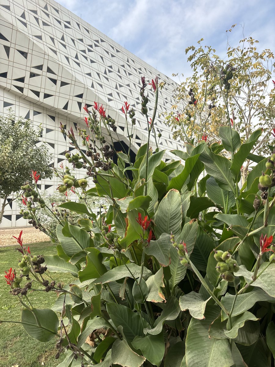 ofluf's tweet image. اجواء مُريحة 🍃🌱