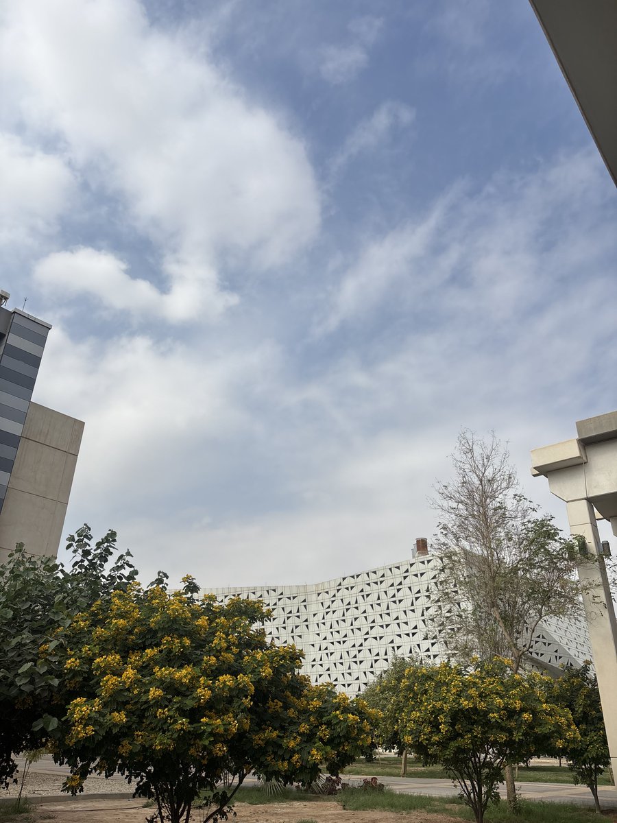 ofluf's tweet image. اجواء مُريحة 🍃🌱