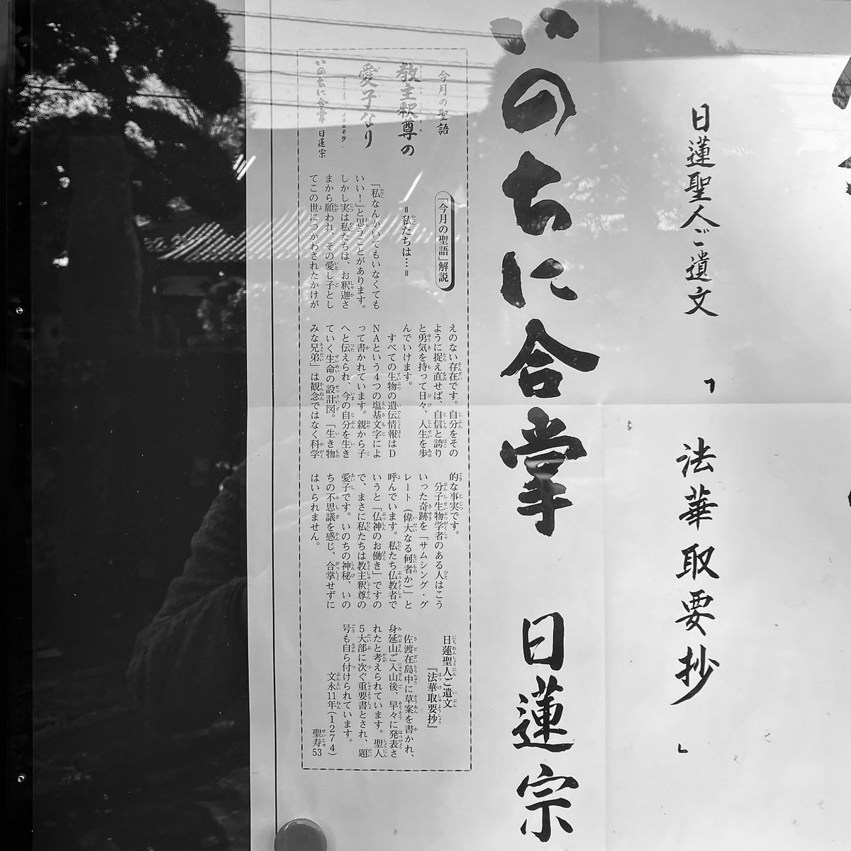 FlyingTOMBI's tweet photo. １２月のお言葉。。。🙏

#japan
#imagine
#mementomori
#shadowsandlight
#烏山寺���通
#陰陽
#徒然なるままに
#生きる
#déjà_vu
#デジャヴュ
#心の色
#心象風景
#ご近所散歩
#その先にあるもの
#今月のお言葉
#そして
#上を向いて歩こう
#心に問い
#心と対話する
#帰り道
#somethinggreat https://t.co/1PFKALu84Y