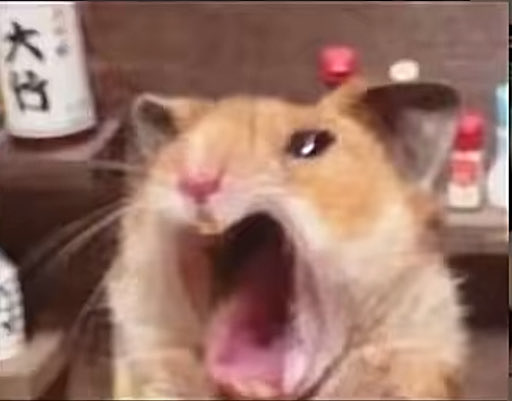 سُكون tweet media