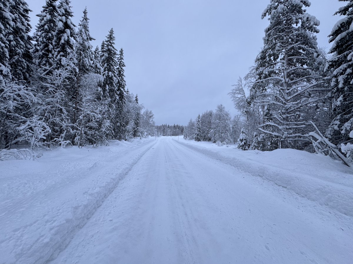 sm2otu's tweet photo. Me and my son took a walk in the mild winter weather (-5C) here above the arctic circle (KP16or). We left just after sunrise and came home at sunset. And we brought no provisions. Imagine how fantastic that we survived even without water. (No! We do not eat snow) https://t.co/SrDTNbQaTi