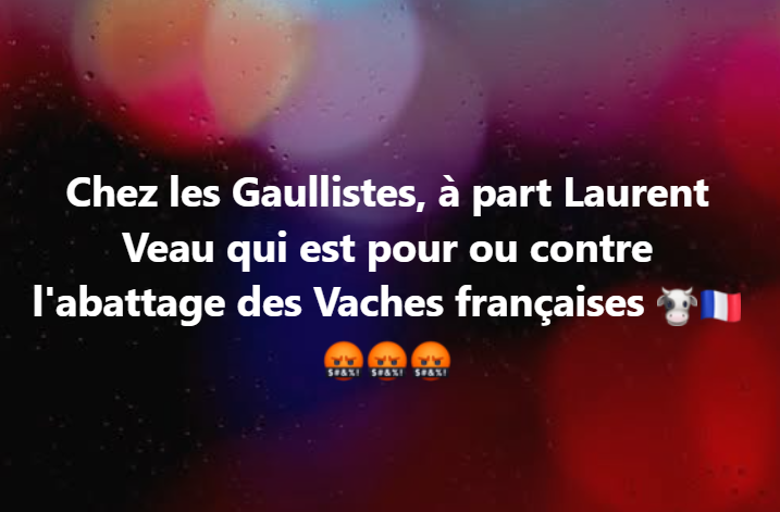 RuqueSebastien's tweet image. On ne va pas faire comme pour Albert Camus et lui demander de choisir entre la justice et sa mère 👣😜 #Absurdie