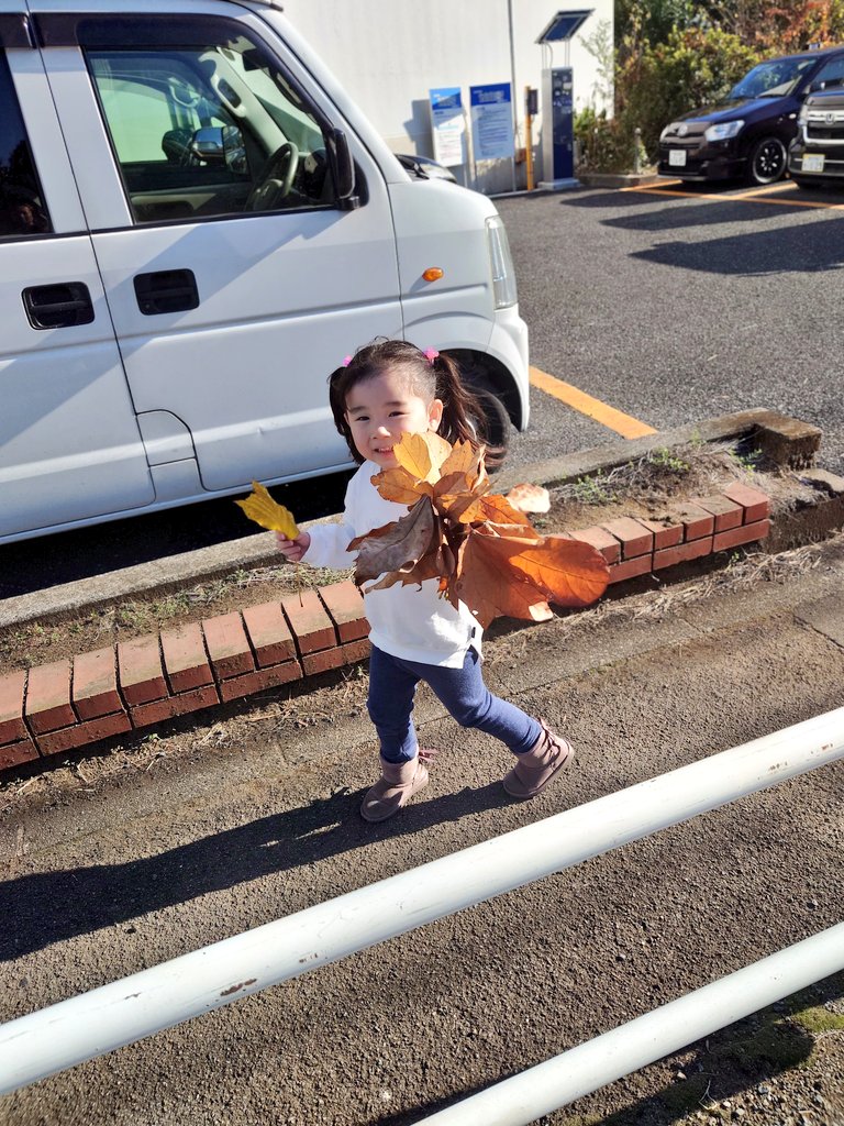 220508satsuki's tweet photo. 最近は、落ち葉遊びしたり🍂新しく出来たクレープ屋さん行ったり🌯井の頭動物園で遊んでソフトクリーム食べたり🍦 

最近の好きなテレビ番組📺️
アニメはスーパーキティが1番なんだけど、なんかめっちゃ「華大さんと千鳥くん」にハマってて毎週爆笑して観てる咲月です👧

#3歳児
#3歳7ヶ月
#華大千鳥 https://t.co/M2WEj6Bkoa