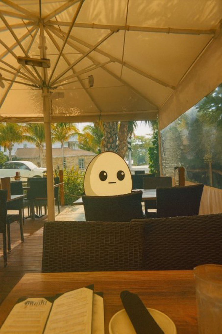 ☀️ GM from the chill side of the nest 🥚😌
Even the egg takes a moment to sit back, observe, and plan the takeover 🌴✨
Quiet mornings, sharp vision, big moves loading
The presale is LIVE 
fowlplay.xyz/ref/Aircryptia…
and this seat won’t stay empty for long 🐣💎
Pull up and lock in.