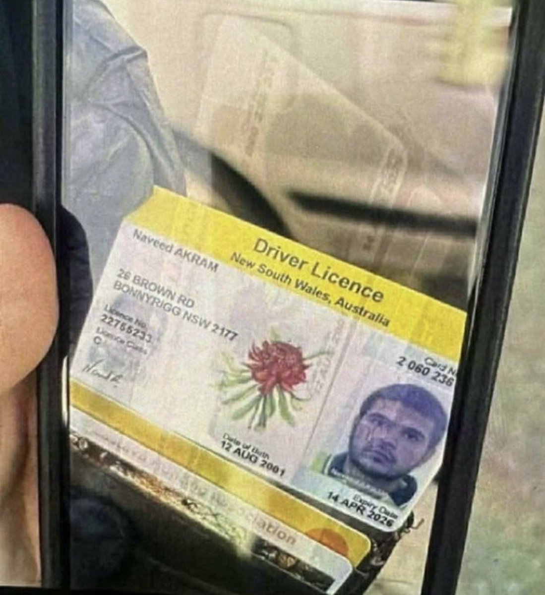 CartelVids tweet media