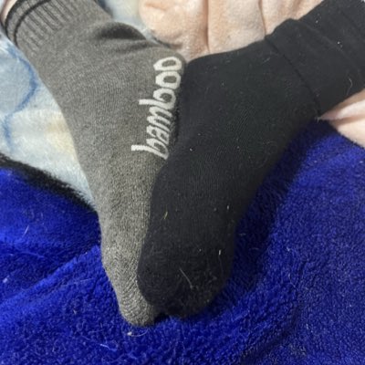 Luna Pearl tweet media