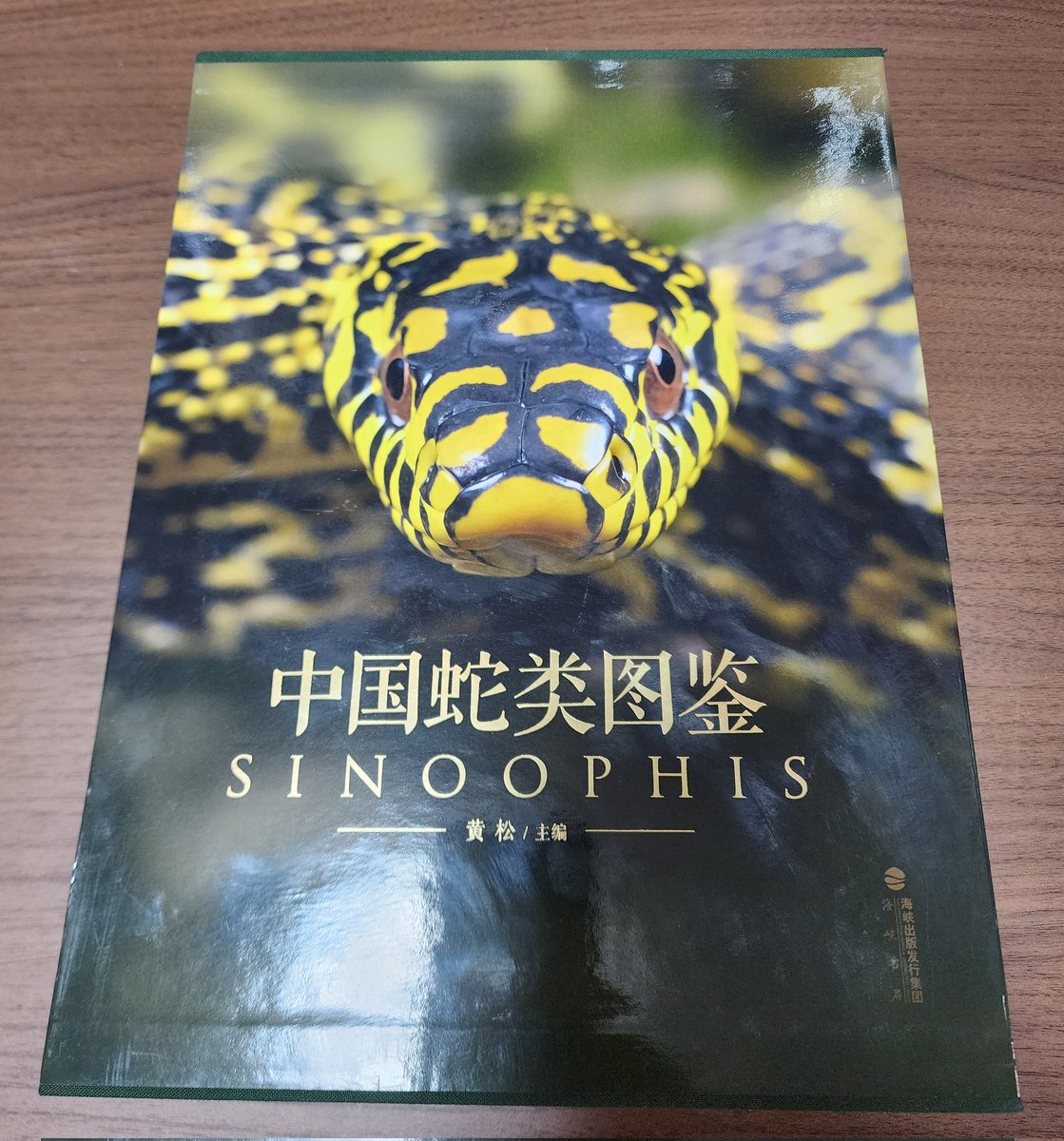 スネコンの個人的買い物
これは良いよ☺️