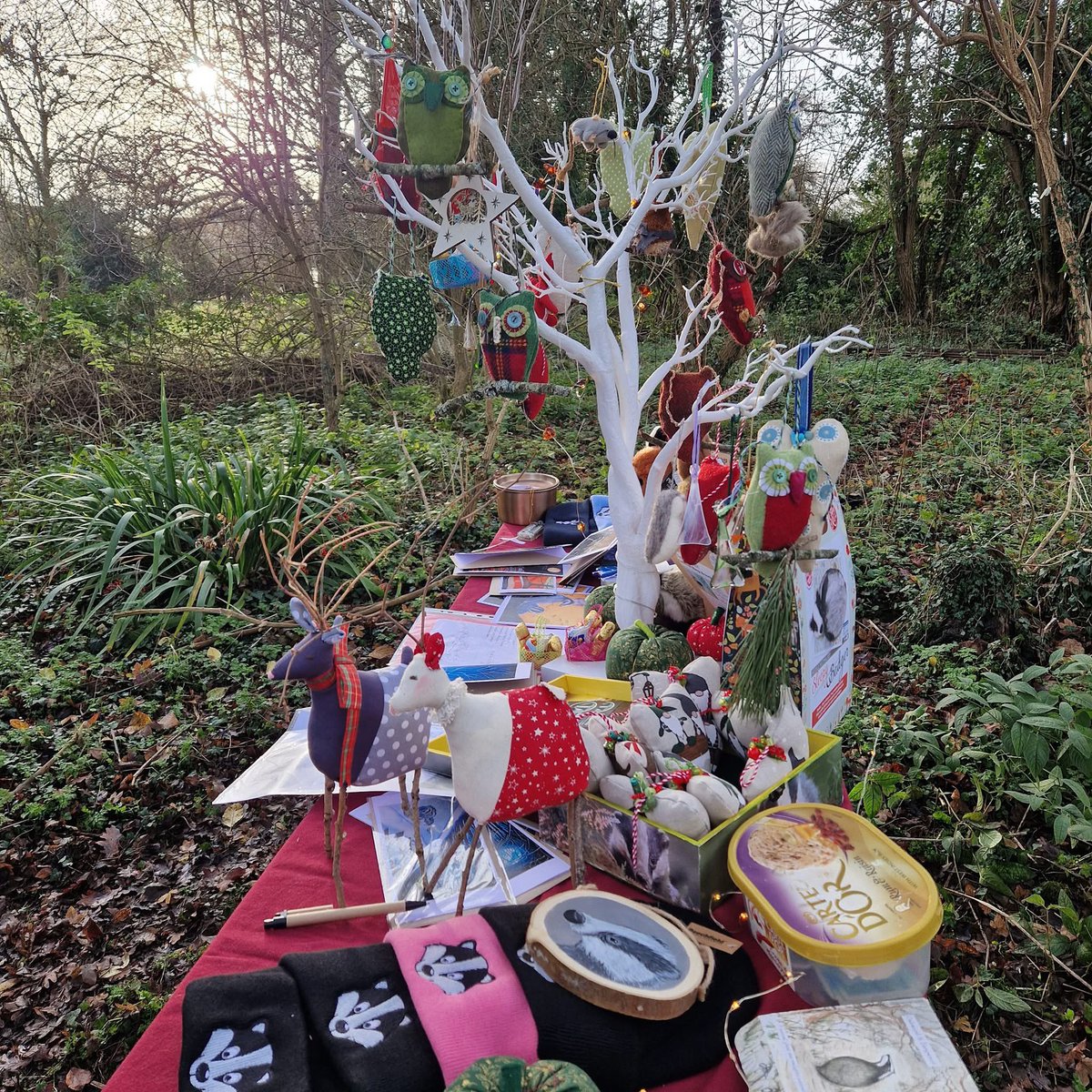 OxonBadgers's tweet photo. Mince pies in our wonderful copse today with some of our members! 

🎄🎄🎄🎄🎄🎄🎄 https://t.co/TzrgO3DehV