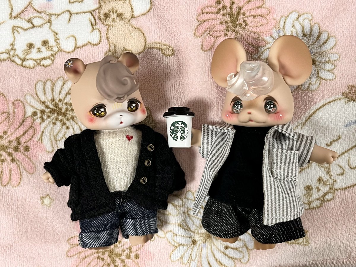 まち Su'Zoo🌗ミニチュアモールベア🧸 (@machisuzu96) / Posts / X