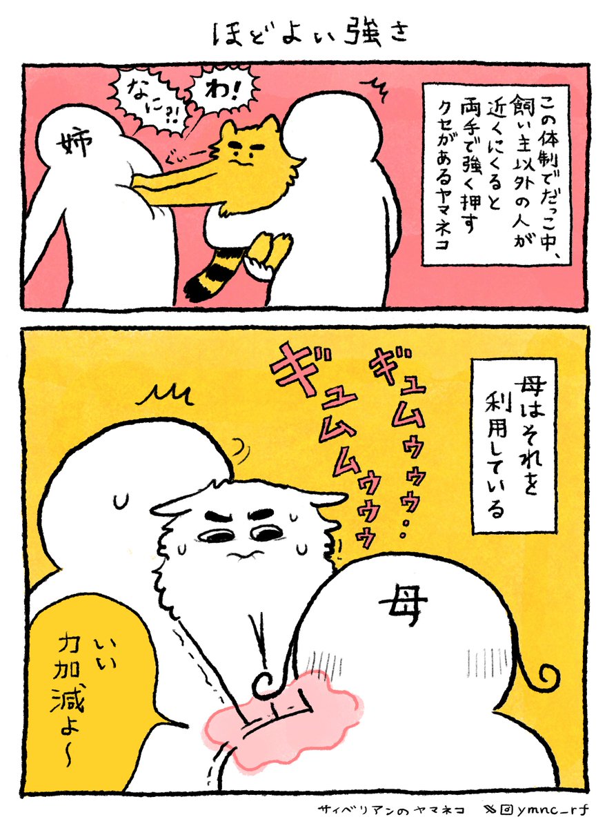 ヤマネコ (@ymnc_rf) / Posts / X