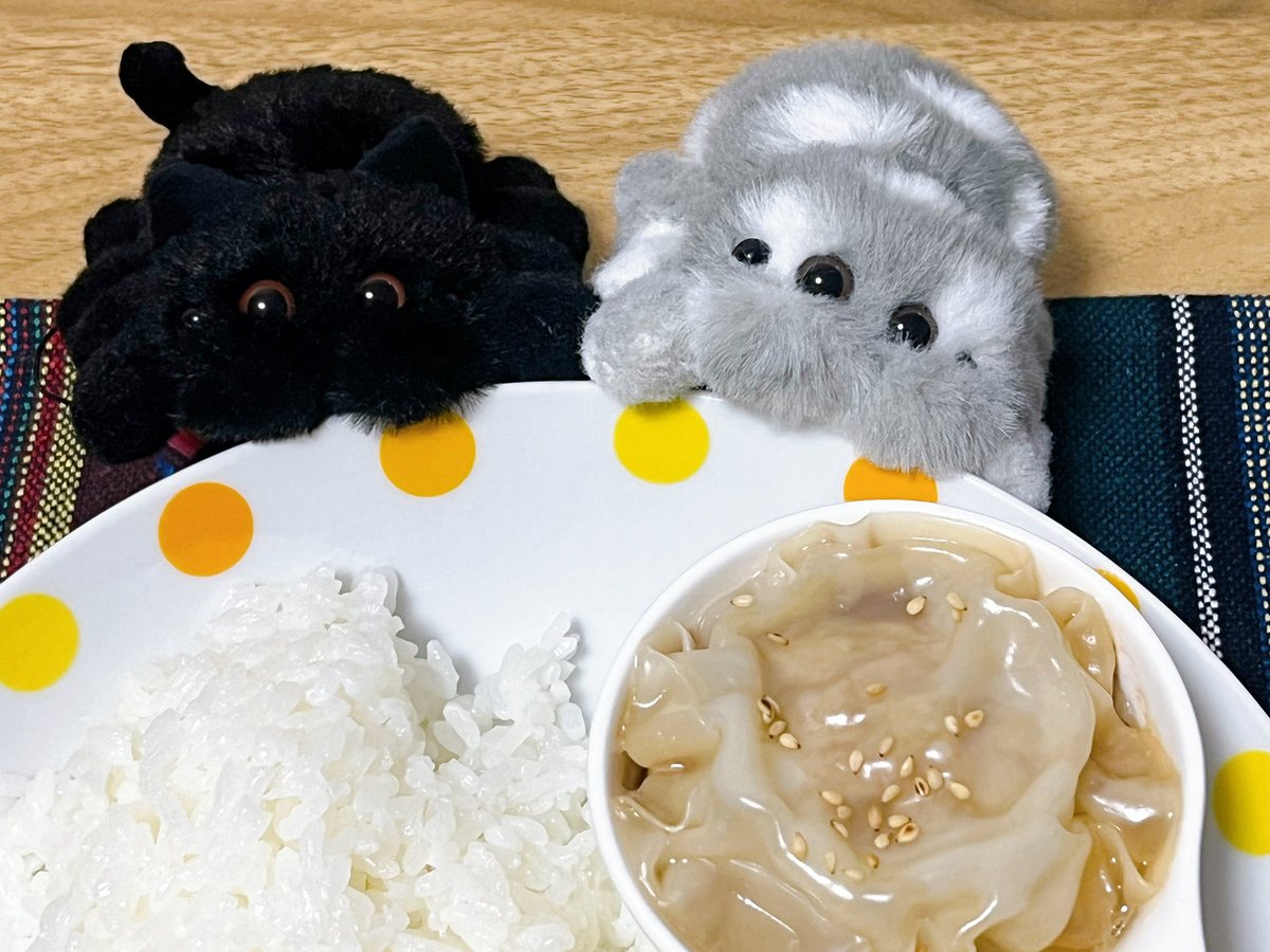 うーちゃん（あや） (@wQw9u_chan) / Posts / X