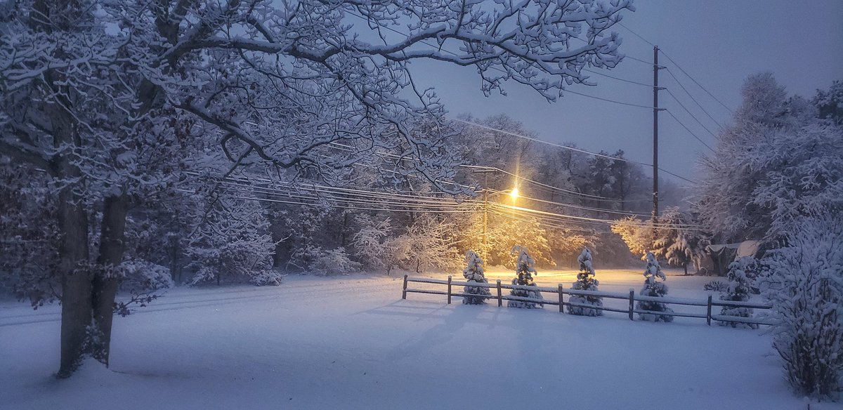 Sapo Man Photography 😃 tweet media