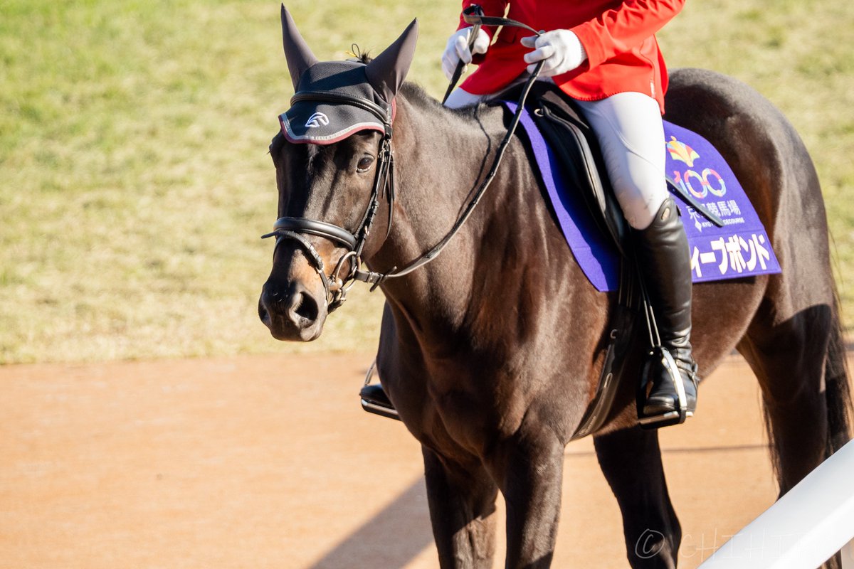 プボくん様♡専用追加オーダーページ♪ ディープボンドファンクラブ (@0218deepbond) / Posts / X