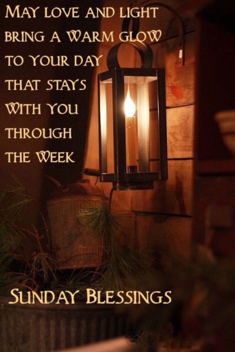 😇Sue 🔮⭐🕊 tweet media