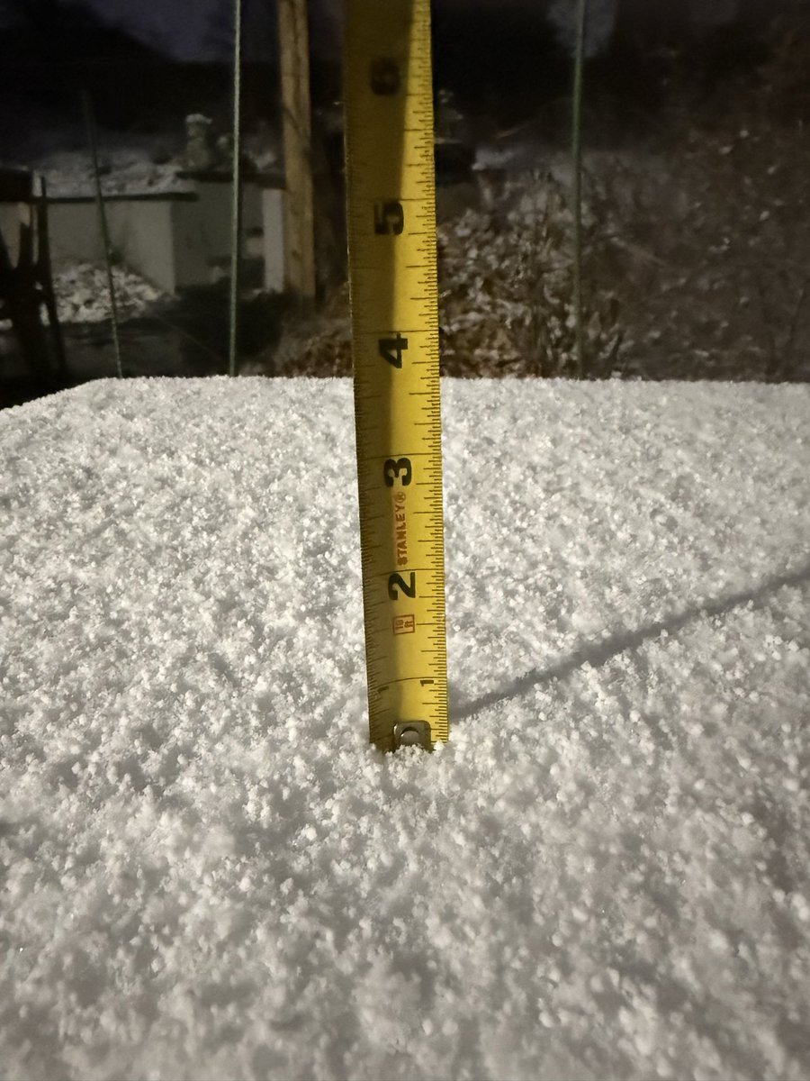 eshansen_2's tweet image. About a half inch so far in Colonial Village, DC
@capitalweather