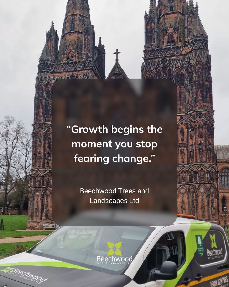BossBeechwood's tweet image. Real growth starts when we stop resisting change and start trusting the journey. 🌿
#GrowthMindset #EmbraceChange