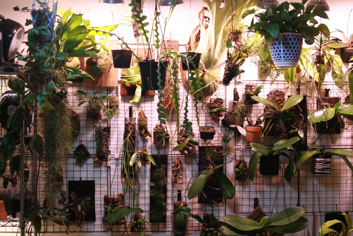 りうん tweet media