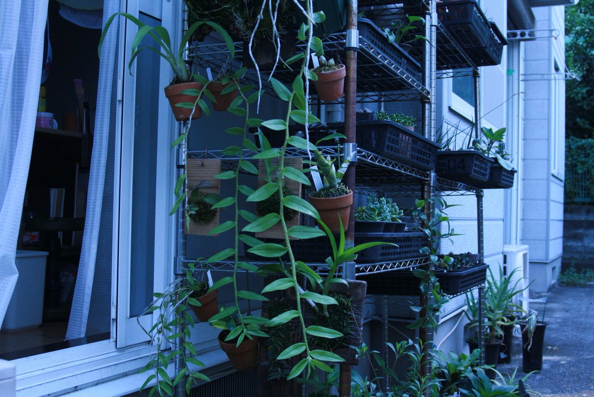 りうん tweet media