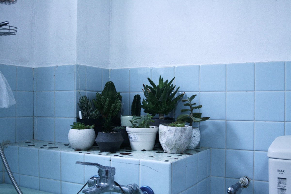 りうん tweet media