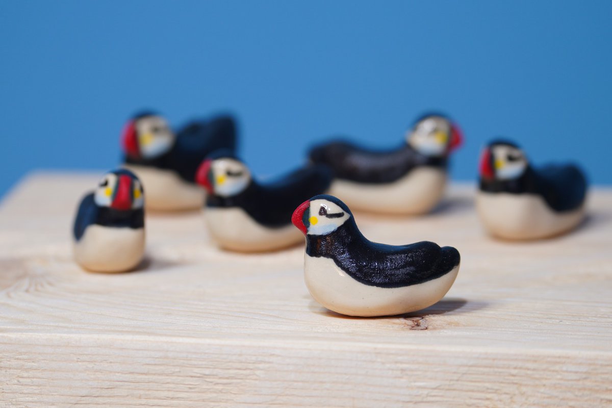 Ella Benninghaus tweet media