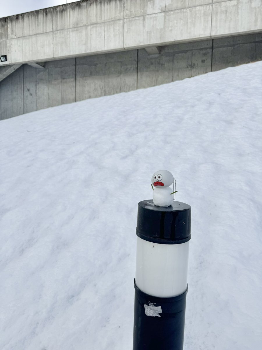 RiFnt9's tweet photo. 今朝の雪を見て、今日はこれを作ると決めていたんです⛄️w https://t.co/pB0e44qLoX