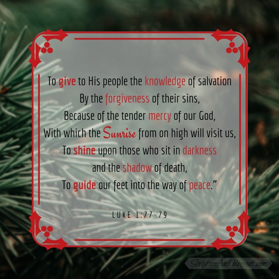 ScriptureAnd's tweet image. Jesus is the Sunrise, the light that dawns on us, bringing salvation, forgiveness, mercy, and peace. #NamesOfJesus buff.ly/3l4JMGh