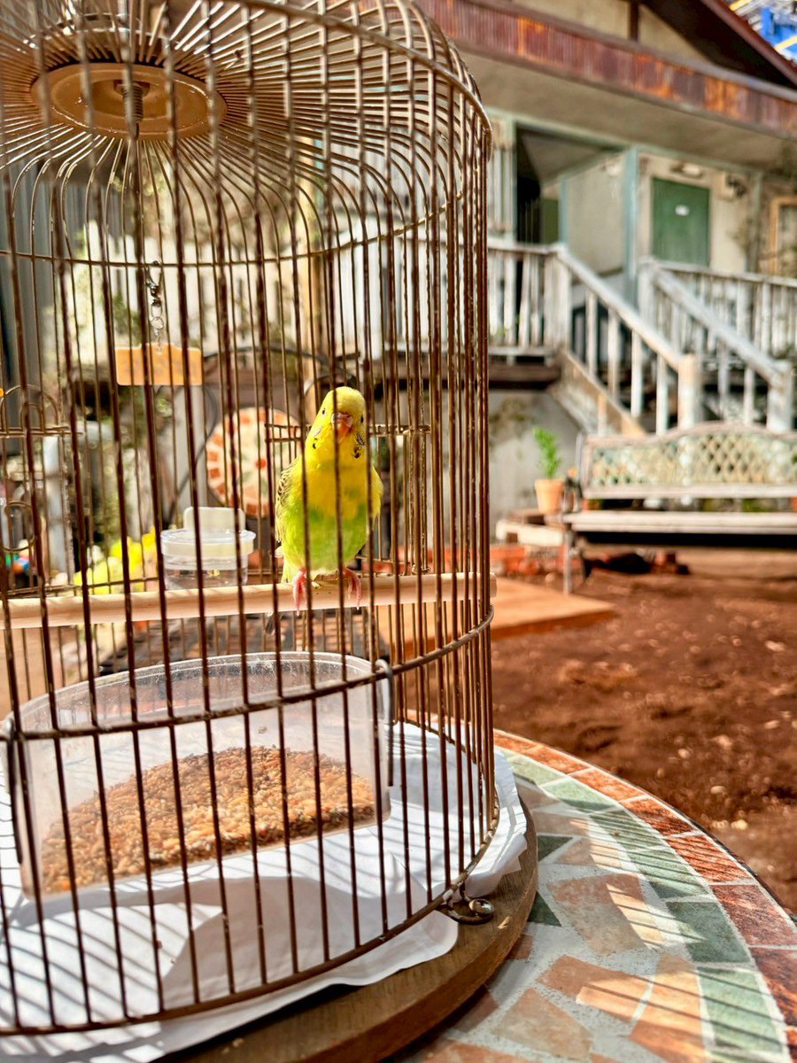 ぼくたちん家【公式】 tweet media