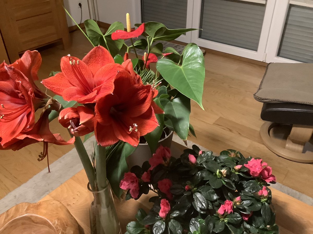 Einen schönen 3. Advent