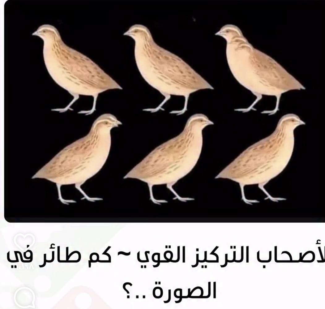 أحمد السعدي tweet media