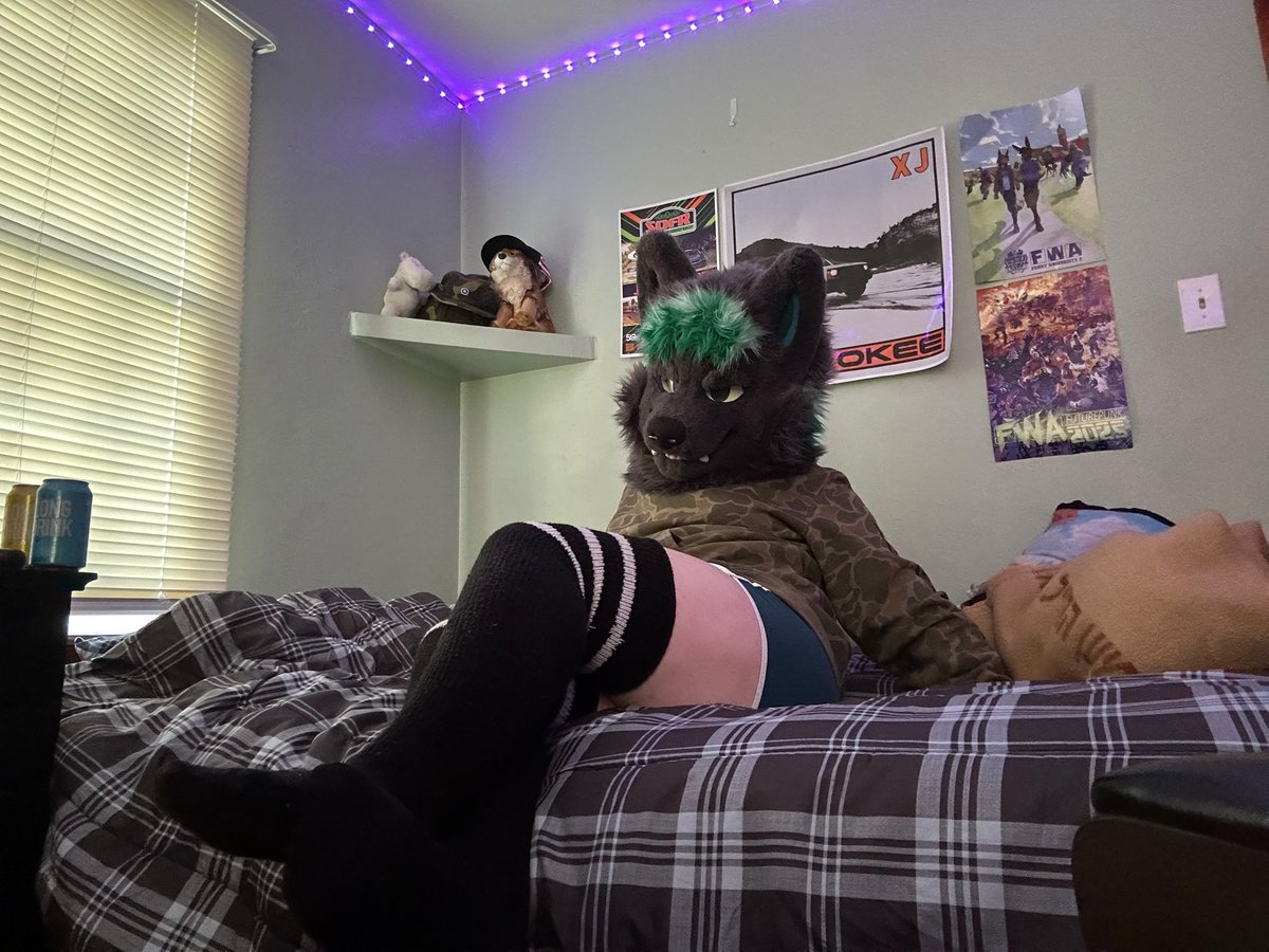 🌲Kojootti 🌲🔜 AnthrOhio tweet media