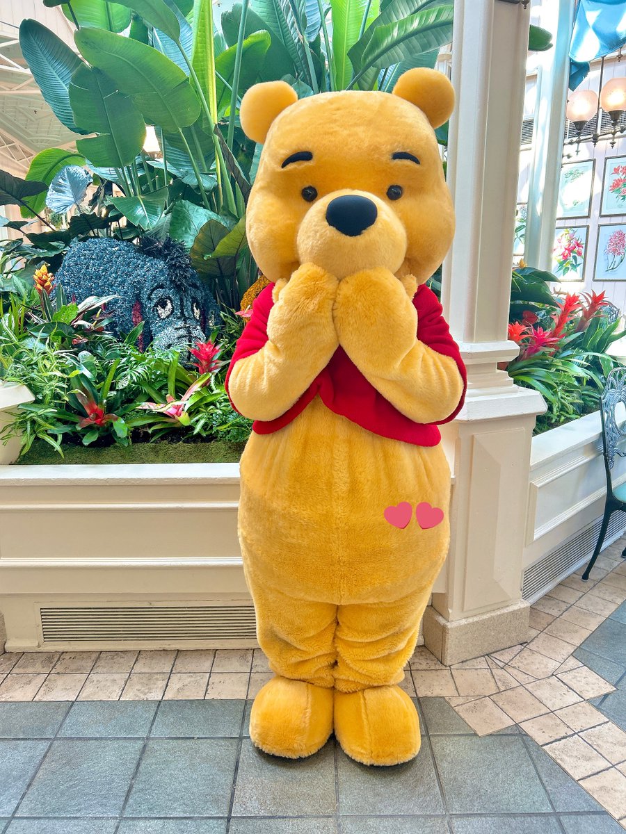 ピグレット🐷 (@pigletniaitai) / Posts / X