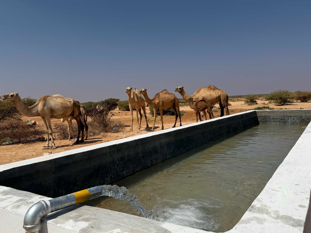 UNDPSomalia's tweet photo. Somalia faces recurring drought—but it is also one of the sunniest countries on earth.

With support from @SaudiFund_Dev, the first 2 of 10 solar-powered boreholes are now complete. The project aims to harness the sun to bring safe water to 120,000 drought-affected Somalis and improve water practices for over 3 million people by 2026.

Read more about the initiative: https://t.co/PGWMfMzZ2d