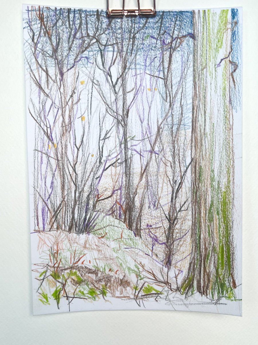 amelinakate's tweet photo. I really enjoy drawing with watercolor pencils. They feel somewhere between sketching and painting — loose, light, intuitive. Perfect for catching quick impressions of trees, light, air. 🌿✏️ https://t.co/X3xROt6OWs