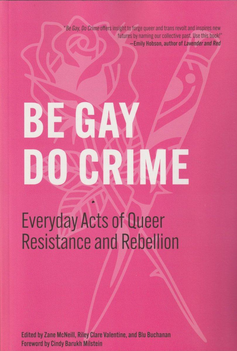 DocPaperback's tweet image. Also arrived yesterday, bought because it looks like fun! Each day out of 365 has an entry of relevance to acts of queer resistance that happened on that day.