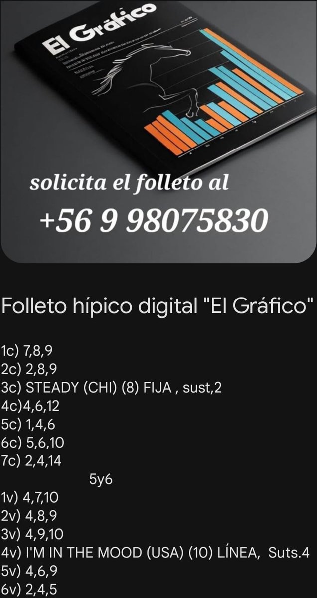Folleto hípico digital 
El gráfico.