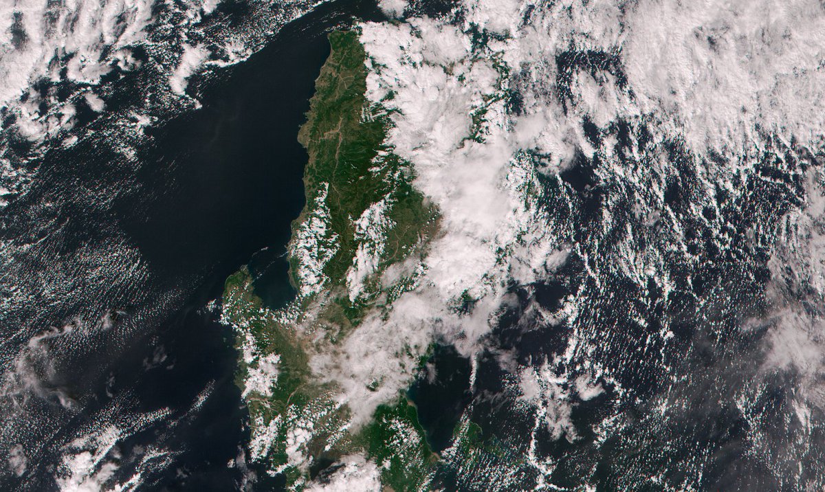 John Bell tweet media