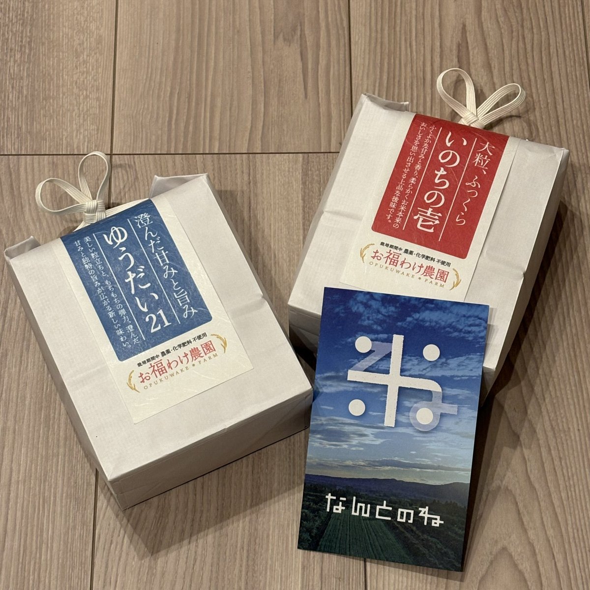 にゃんこ(ゆいにゃん) tweet media