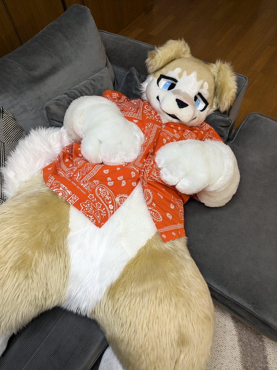 しろくま (@Shirokuma_4GLTE) / Posts / X