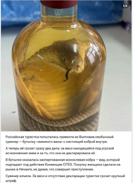 Александр Румянцев (@kamen797) on Twitter photo 