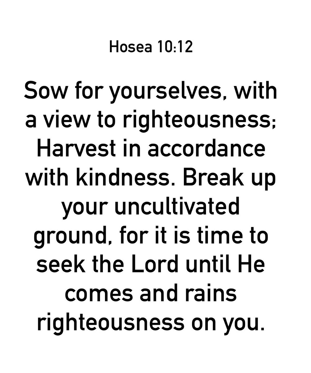 MarkDClements's tweet image. #votd