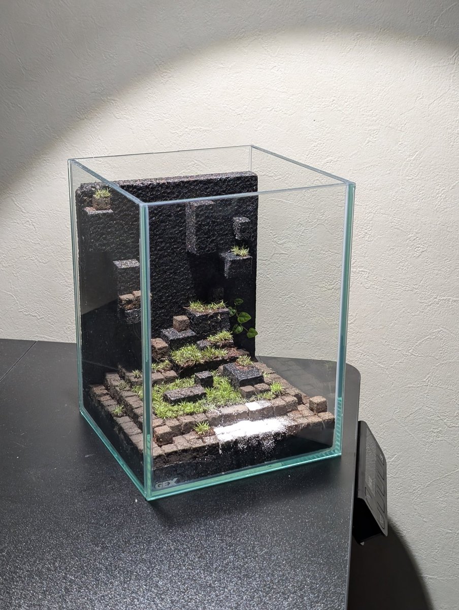 作品名
ピクタ社の粋を集めて制作した、
”ピク”セルテラリウム

岩肌は作れるくん、接着は造形くん、そして固まるくんを1cm×1cmのキューブにし、MinecraftやTerrariaのようなドットの世界を表現しました。

#固まる君コンテスト2025