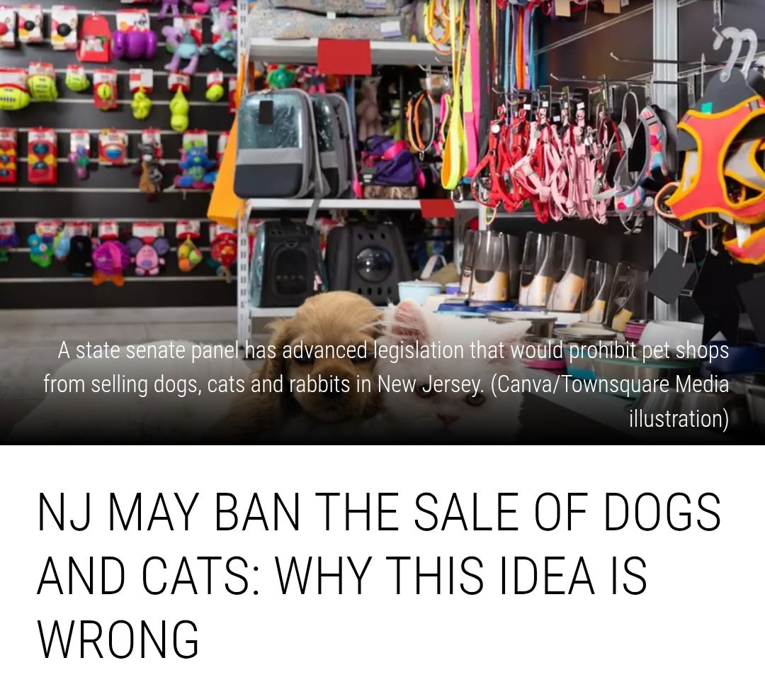 Wake Up NJ 🇺🇸 New Jersey tweet media