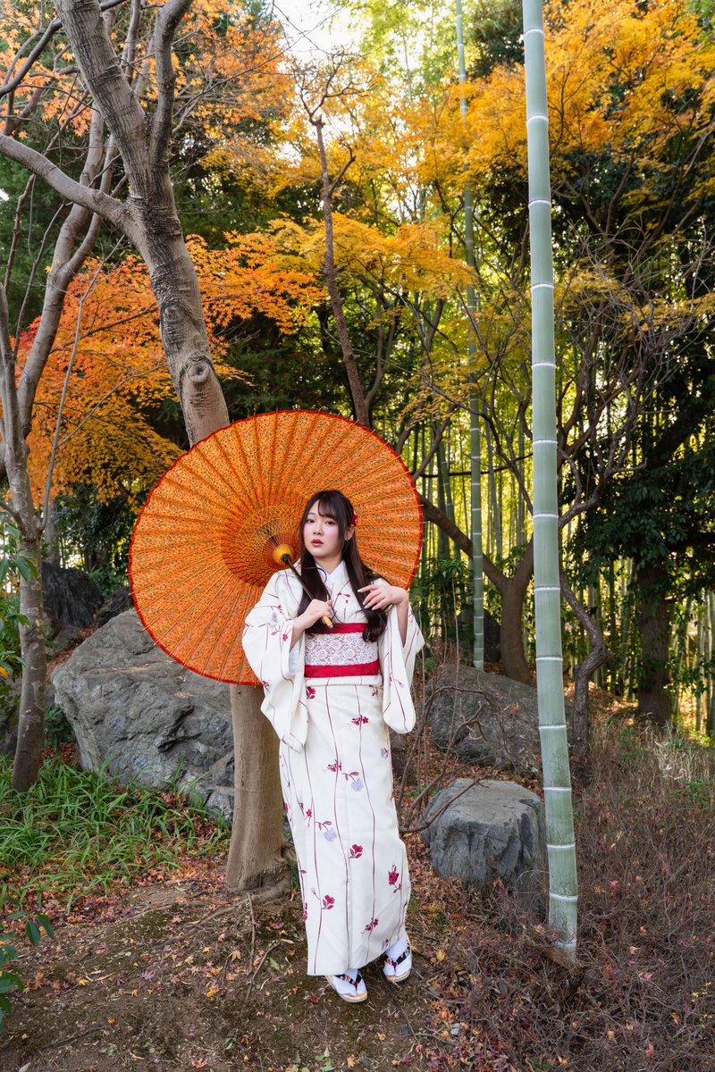 やまも写真垢 tweet media