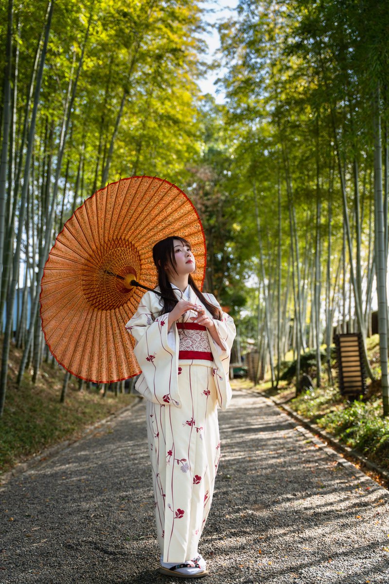 やまも写真垢 tweet media