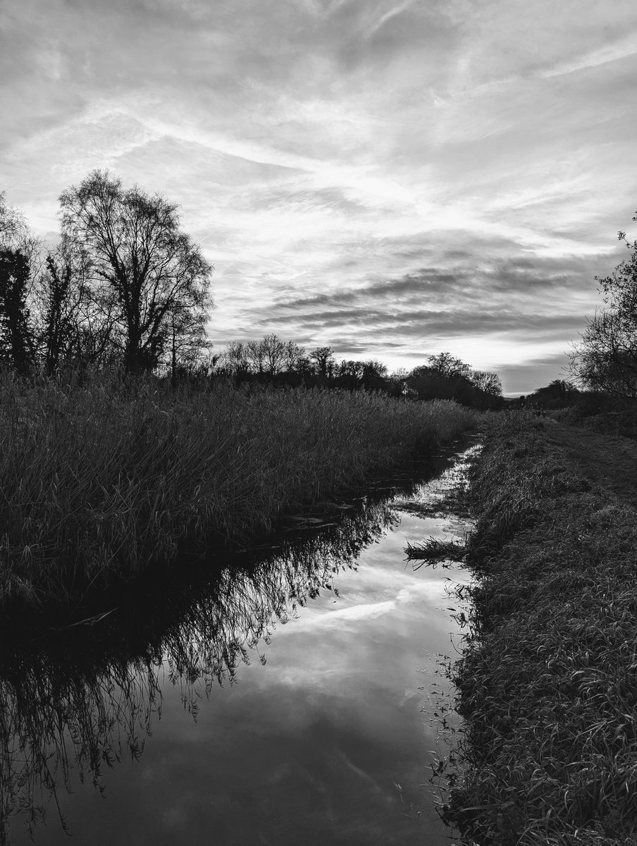 CarolineMockri4's tweet photo. An RSPB #Hamwall  Saturday. 13/12/25. 🚶‍♀️ https://t.co/prOT2tFHFv
