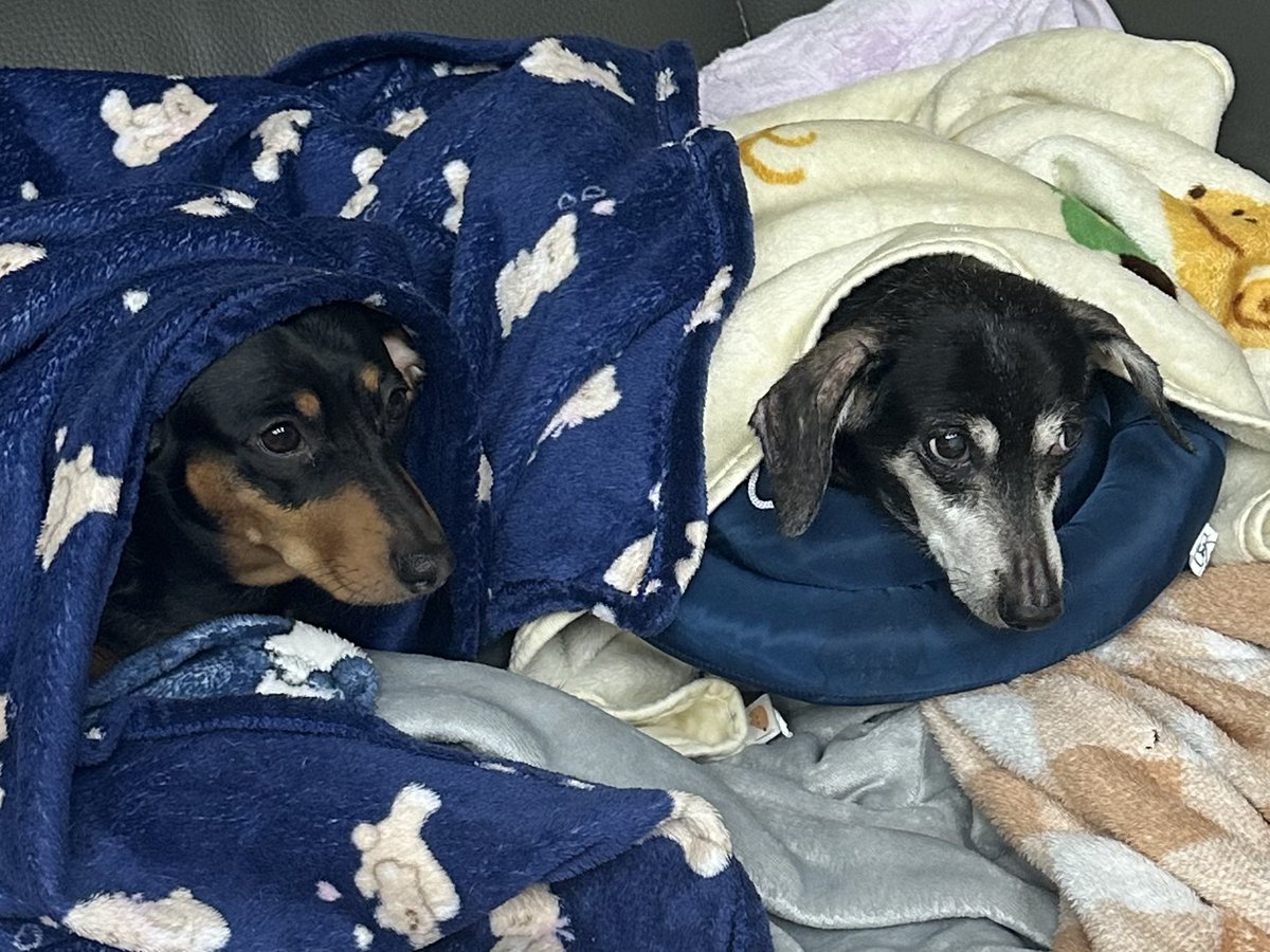 해피 광주 ♡
여자들이 왜 헤어져야 돼